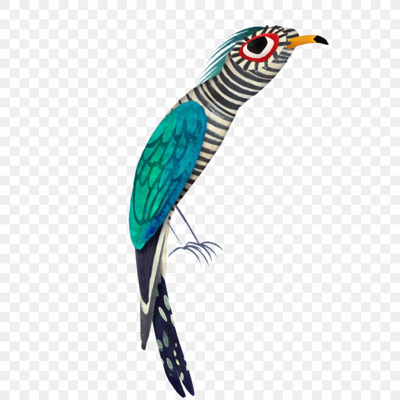 Bird Parrot Illustrator Art Illustration, PNG, 1024x1024px, Bird, Animal, Art, Artist, Beak Download Free