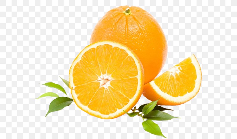 Vegetarian Cuisine Tangerine Lemon Orange Fruit, PNG, 580x480px, Vegetarian Cuisine, Bitter Orange, Citric Acid, Citron, Citrus Download Free