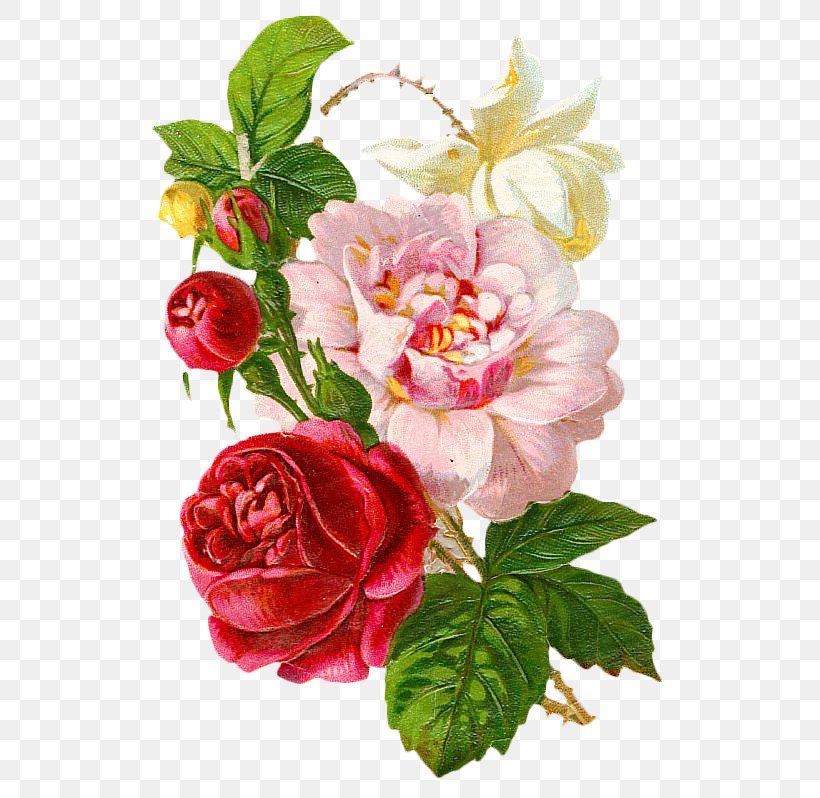 Victorian Era Flower Rose Floral Design Clip Art, PNG, 547x798px, Victorian Era, Art, Artificial Flower, Blossom, Color Download Free