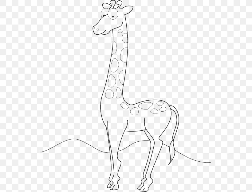 Drawing Line Art Northern Giraffe Animal, PNG, 555x626px, Drawing, Animal, Animal Figure, Artwork, Black Download Free