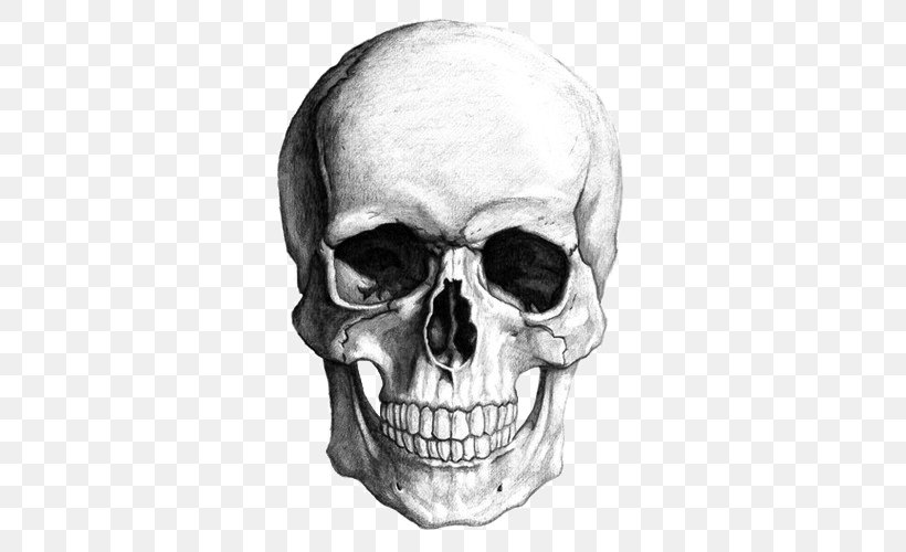 Skull Clip Art, PNG, 500x500px, Skull, Black And White, Bone, Drawing, Eyewear Download Free