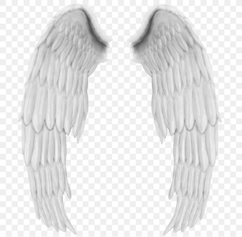 Angel Wing Bird, PNG, 700x801px, Angel, Beak, Bird, Black And White, Child Download Free