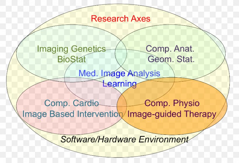 Modeling And Simulation Product Medicine Physical Therapy, PNG, 849x578px, Modeling And Simulation, Area, Integrative Medicine, Medicine, Physical Therapy Download Free