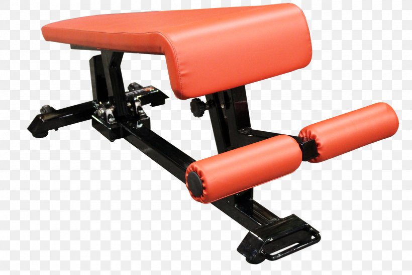 Bench Dumbbell Exercise Equipment Strength Training Physical Strength, PNG, 1280x857px, Bench, Automotive Exterior, Dumbbell, Exercise, Exercise Equipment Download Free