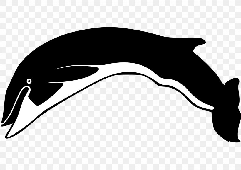 Dolphin Clip Art Fauna Line Fish, PNG, 1600x1132px, Dolphin, Beak, Black, Black And White, Black M Download Free