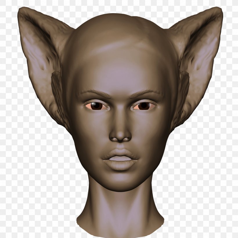 Forehead Sculpture Ear Jaw Snout, PNG, 1600x1600px, Forehead, Ear, Face, Head, Jaw Download Free
