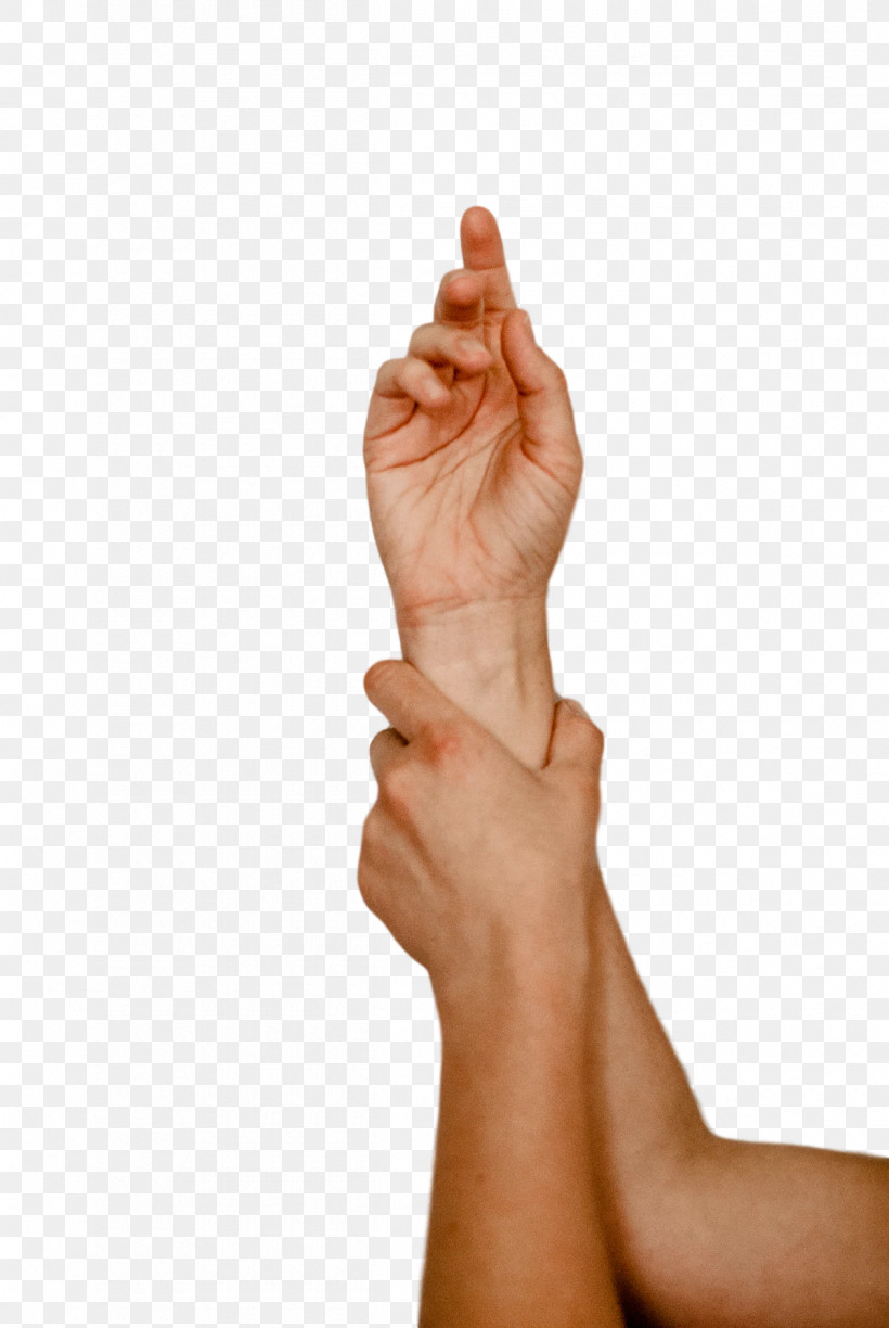 Joint Sign Language Thumb Signal Language H&m, PNG, 1200x1792px, Joint, Biology, Hm, Human Biology, Human Skeleton Download Free