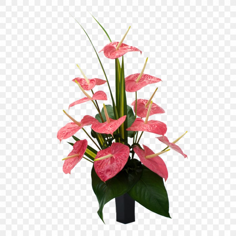 Laceleaf Cut Flowers Carnation Bird Of Paradise Flower, PNG, 1200x1200px, Laceleaf, Artificial Flower, Basket, Bird Of Paradise Flower, Carnation Download Free