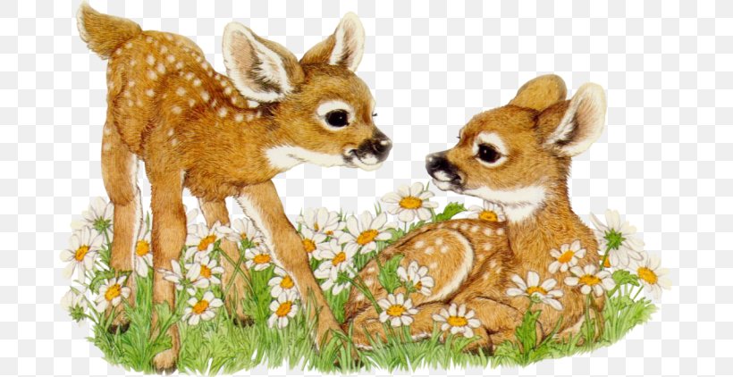 Roe Deer Image Drawing Painting, PNG, 687x422px, 2018, Deer, Animal, Art, Artist Download Free