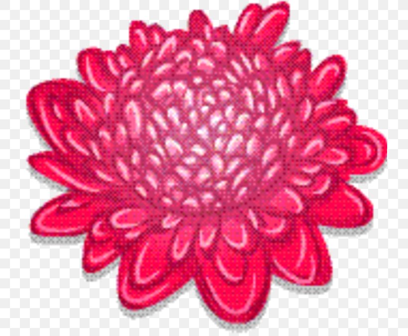 Drawing Of Family, PNG, 736x676px, Yoobi, Chrysanthemum, Curtain Tieback, Cut Flowers, Dahlia Download Free