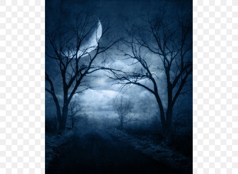 With Evil Intent Desktop Wallpaper Gothic Fiction Novel Image, PNG, 600x600px, Gothic Fiction, Atmosphere, Black And White, Branch, Computer Download Free