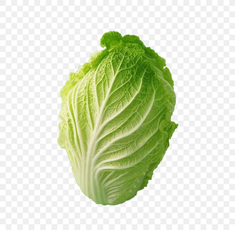 Napa Cabbage Bok Choy Chinese Cabbage Cauliflower, PNG, 800x800px, Cabbage, Bok Choy, Brassica Oleracea, Brassica Rapa, Cabbage Family Download Free