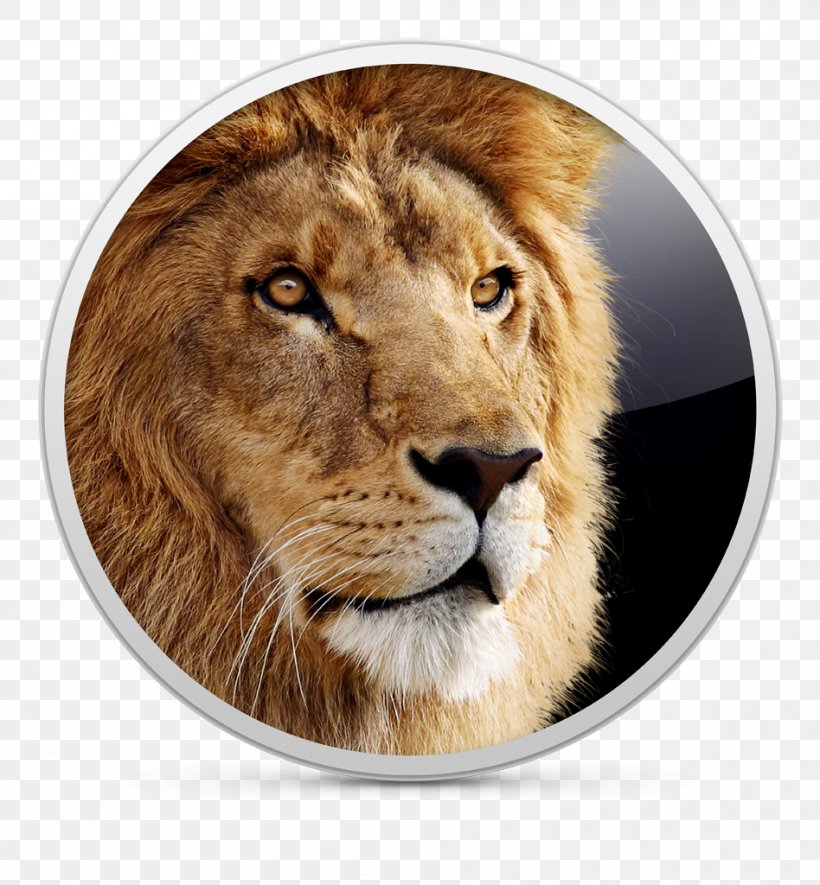 Mac OS X Lion MacOS Apple, PNG, 948x1024px, Mac Os X Lion, App Store, Apple, Big Cats, Carnivoran Download Free