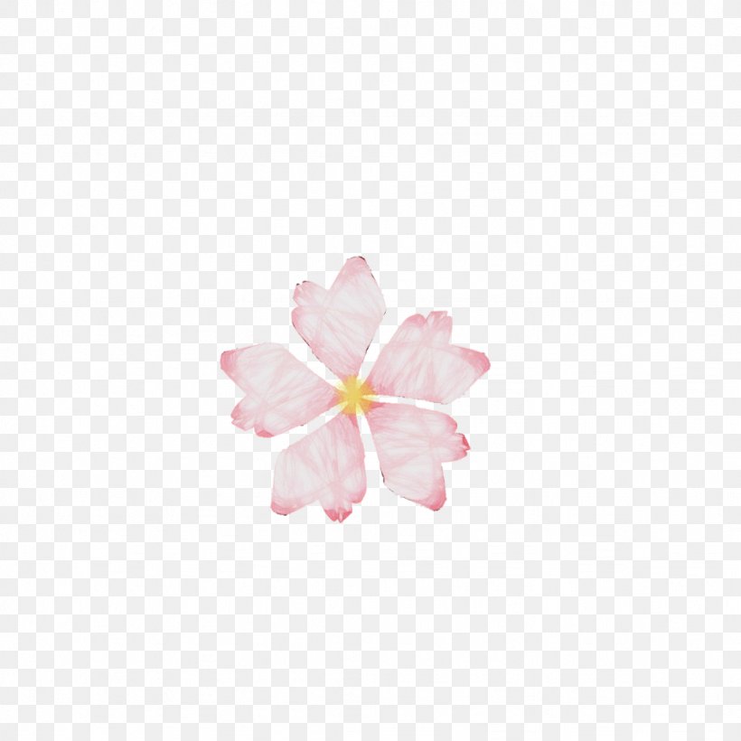 Cherry Blossom, PNG, 1024x1024px, Watercolor, Cherry Blossom, Flower, Flowering Plant, Frangipani Download Free