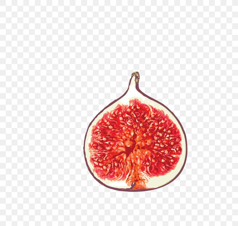 Common Fig Food Auglis Eating, PNG, 800x777px, Common Fig, Auglis, Christmas Ornament, Citrus, Drinking Download Free