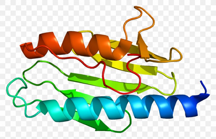 Friedreich's Ataxia Frataxin Genetic Disorder, PNG, 903x582px, Frataxin, Area, Art, Artwork, Ataxia Download Free