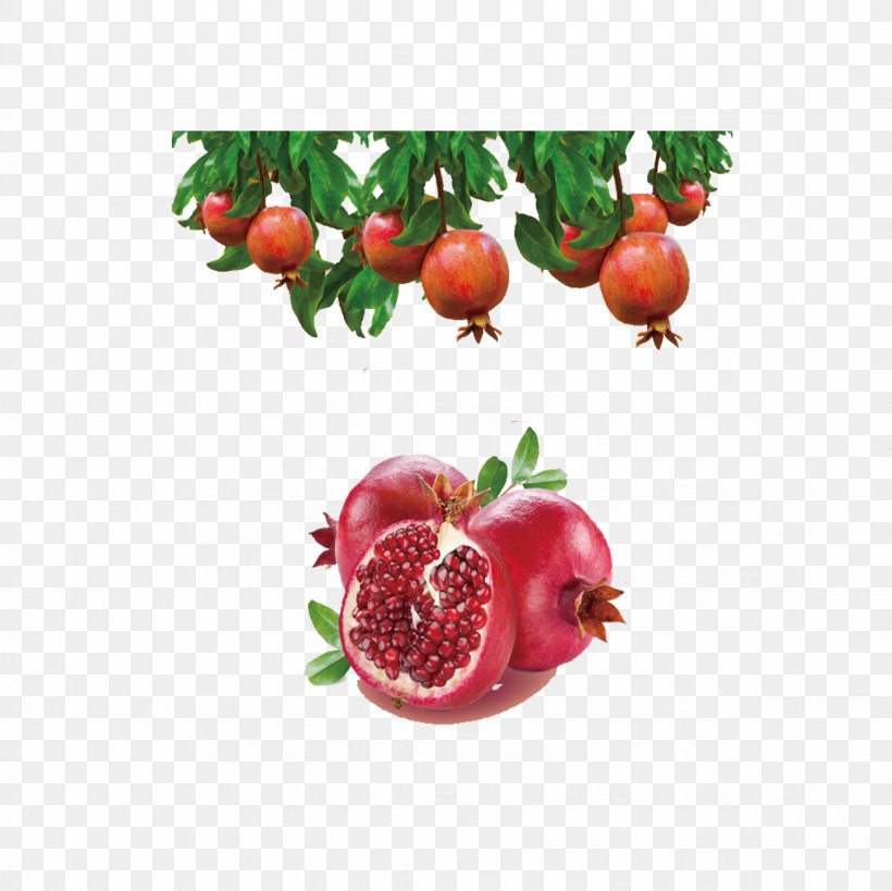 Juice Pomegranate Gelatin Dessert Fruit Extract, PNG, 2362x2362px, Juice, Berry, Drink, Extract, Flavor Download Free