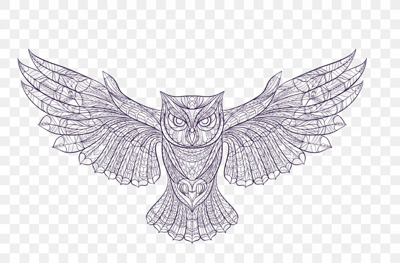 Owl Vector Graphics Euclidean Vector Image, PNG, 1729x1139px, Owl, Art, Artwork, Beak, Bird Download Free