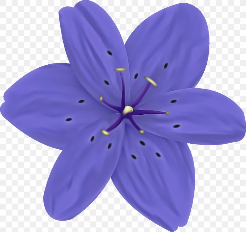 Petal Violet Purple Flower Plant, PNG, 1115x1055px, Petal, Flower, Plant, Purple, Violet Download Free