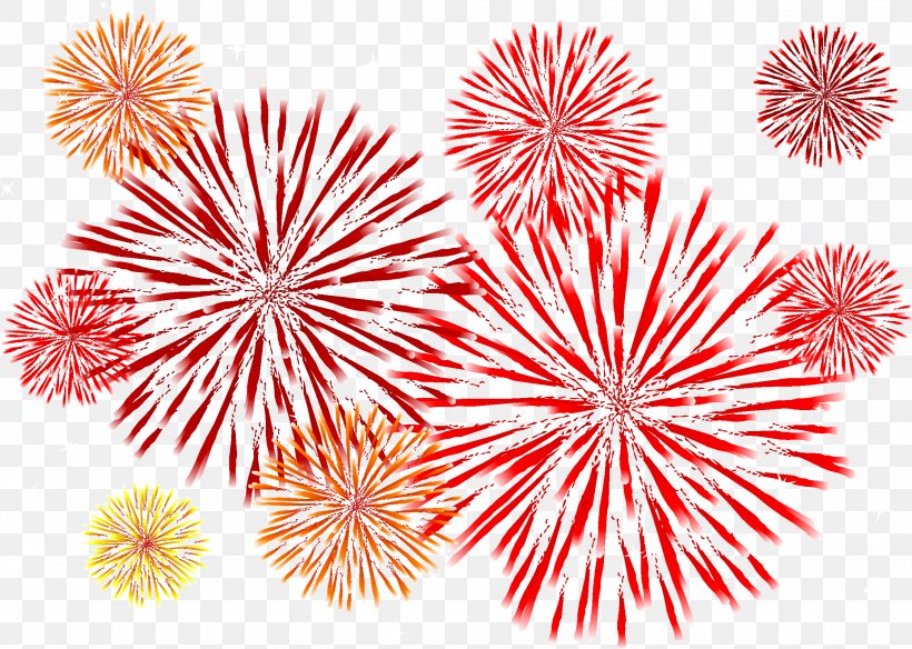 Adobe Fireworks Euclidean Vector, PNG, 2244x1600px, Fireworks, Adobe Fireworks, Event, Flame, Point Download Free