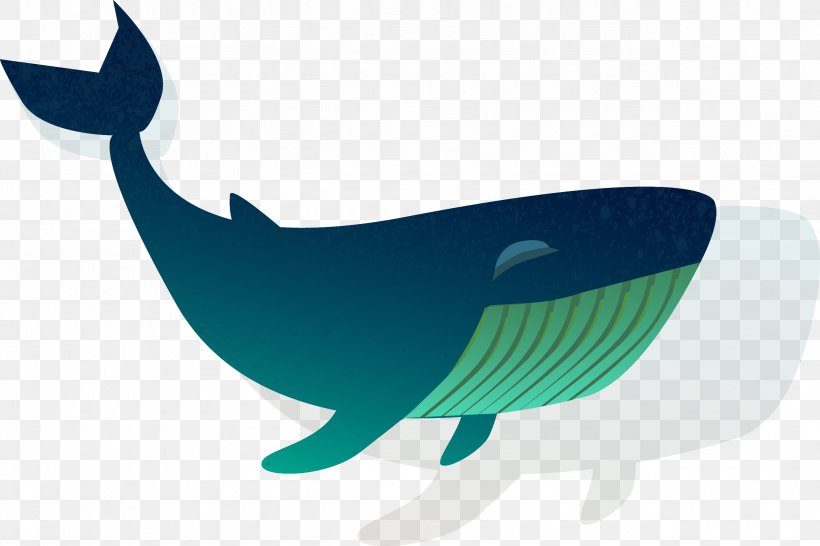 Shark Cetacea Fish Blue Whale, PNG, 2558x1706px, Shark, Blue Whale, Cetacea, Fish, Green Download Free