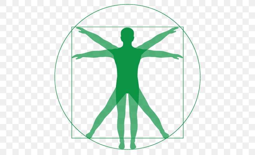 Vitruvian Man Renaissance Vector Graphics Clip Art Drawing, PNG, 500x500px, Vitruvian Man, Area, Arm, Drawing, Green Download Free