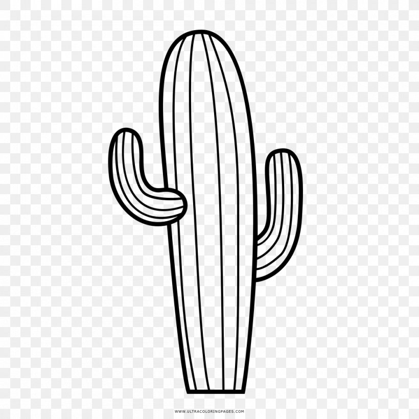 Cactaceae Drawing Line Art Coloring Book Pinterest, PNG, 1000x1000px, Cactaceae, Black And White, Coloring Book, Drawing, Finger Download Free
