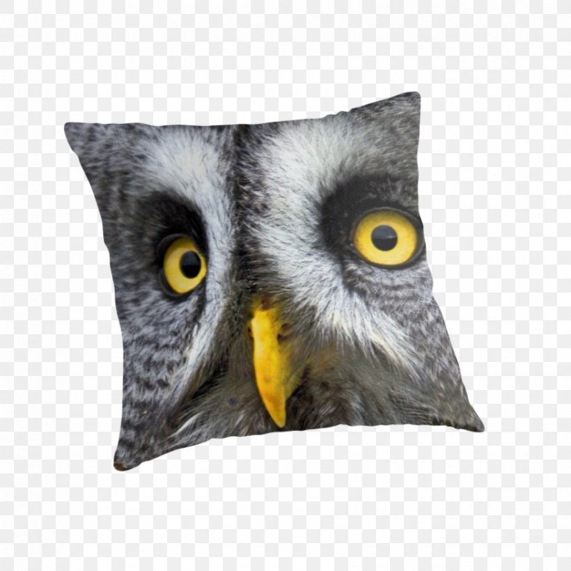 Owl Throw Pillows Cushion Beak, PNG, 875x875px, Owl, Beak, Bird, Bird Of Prey, Cushion Download Free