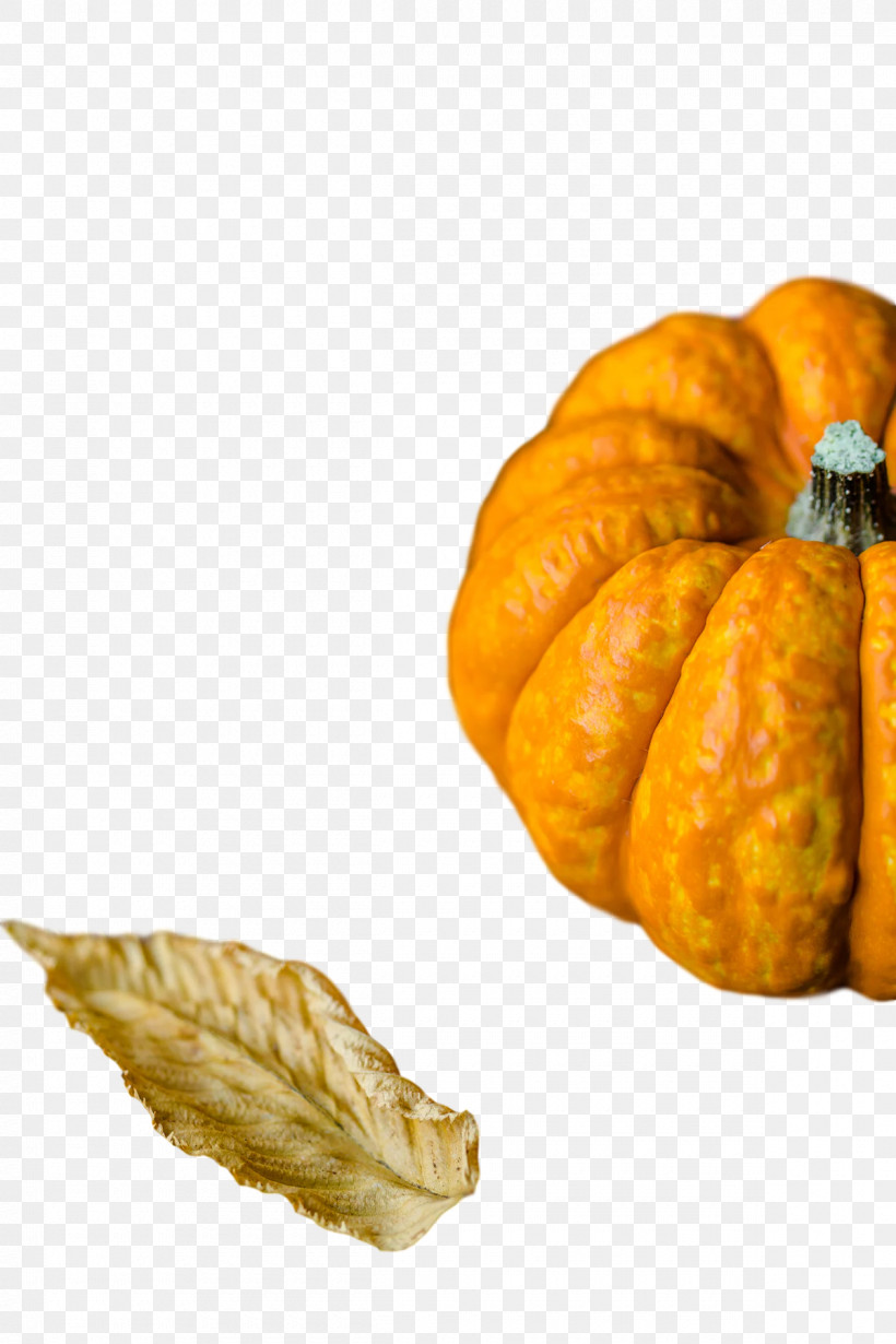 Pumpkin, PNG, 1200x1800px, Cucurbita Maxima, Butternut Squash, Gourd, Hello July, Pumpkin Download Free