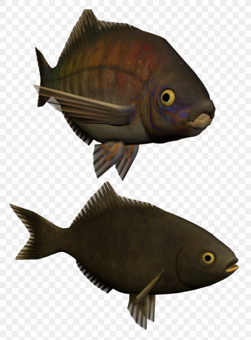 Fish Kipper Clip Art Perch, PNG, 2386x3232px, Fish, Biology, Bony Fish, Fauna, Kipper Download Free