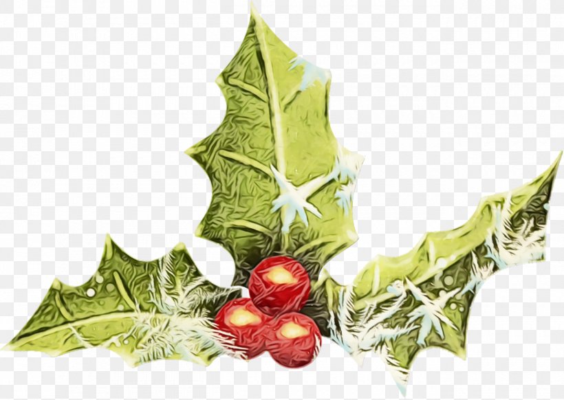 Holly, PNG, 1300x924px, Christmas Holly, American Holly, Christmas, Flower, Holly Download Free