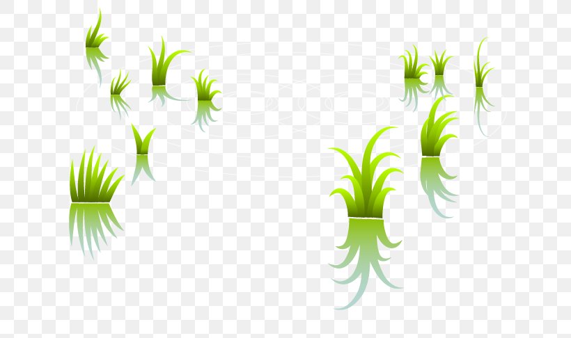 Paddy Field Arable Land Graphic Design, PNG, 736x486px, Paddy Field, Arable Land, Field, Flora, Flower Download Free