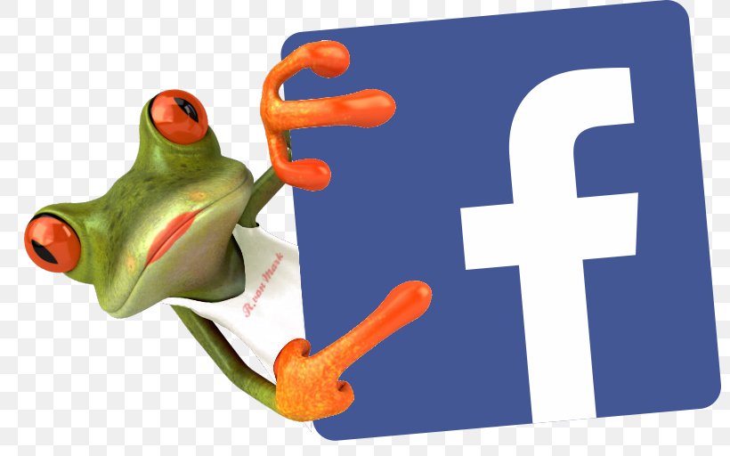 Social Media Marketing Social Network Facebook, PNG, 800x512px, Social Media, Amphibian, Blog, Business, Facebook Download Free