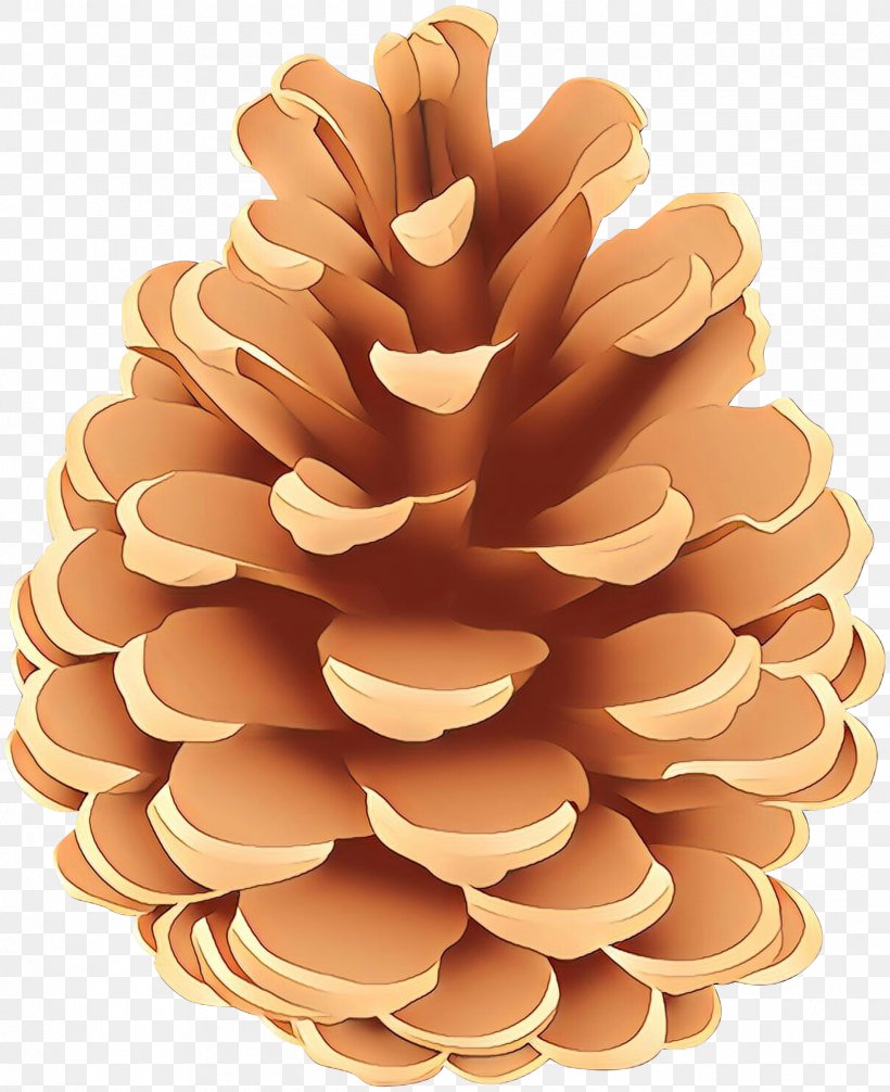 Tree Plant Sugar Pine Pine Pine Family, PNG, 2443x3000px, Cartoon, Natural Material, Pine, Pine Family, Plant Download Free