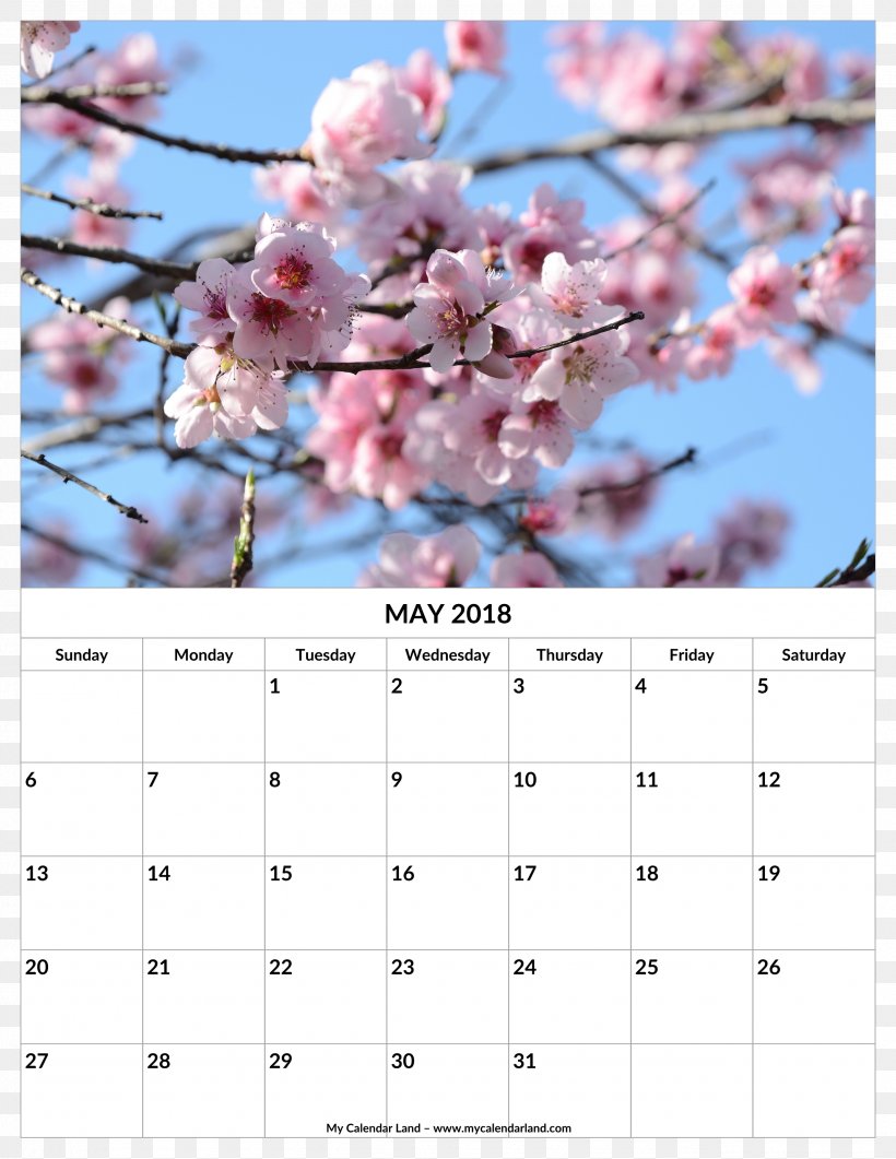 Flower 术数 Zi Wei Dou Shu Artropatia Emofilica 慧真館, PNG, 2550x3300px, Flower, Blossom, Branch, Business, Calendar Download Free
