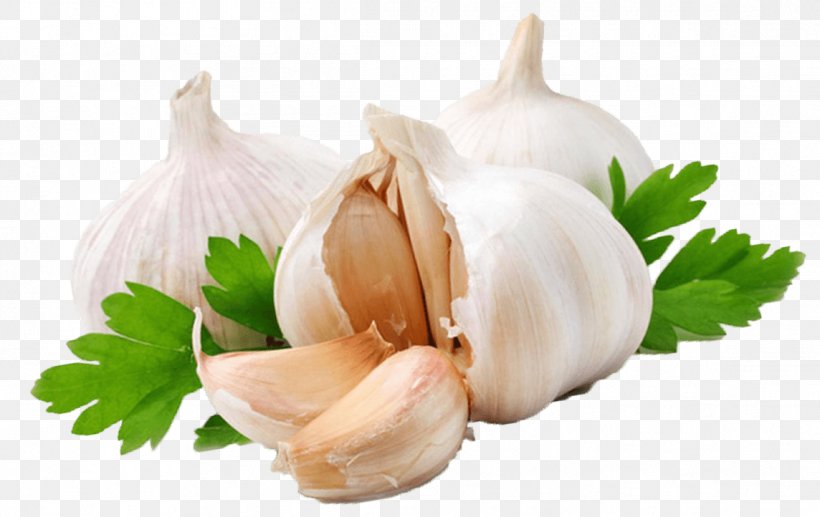 Garlic Vegetable Food Clip Art, PNG, 1144x722px, Garlic, Alternative Medicine, Food, Garlic Presses, Image File Formats Download Free