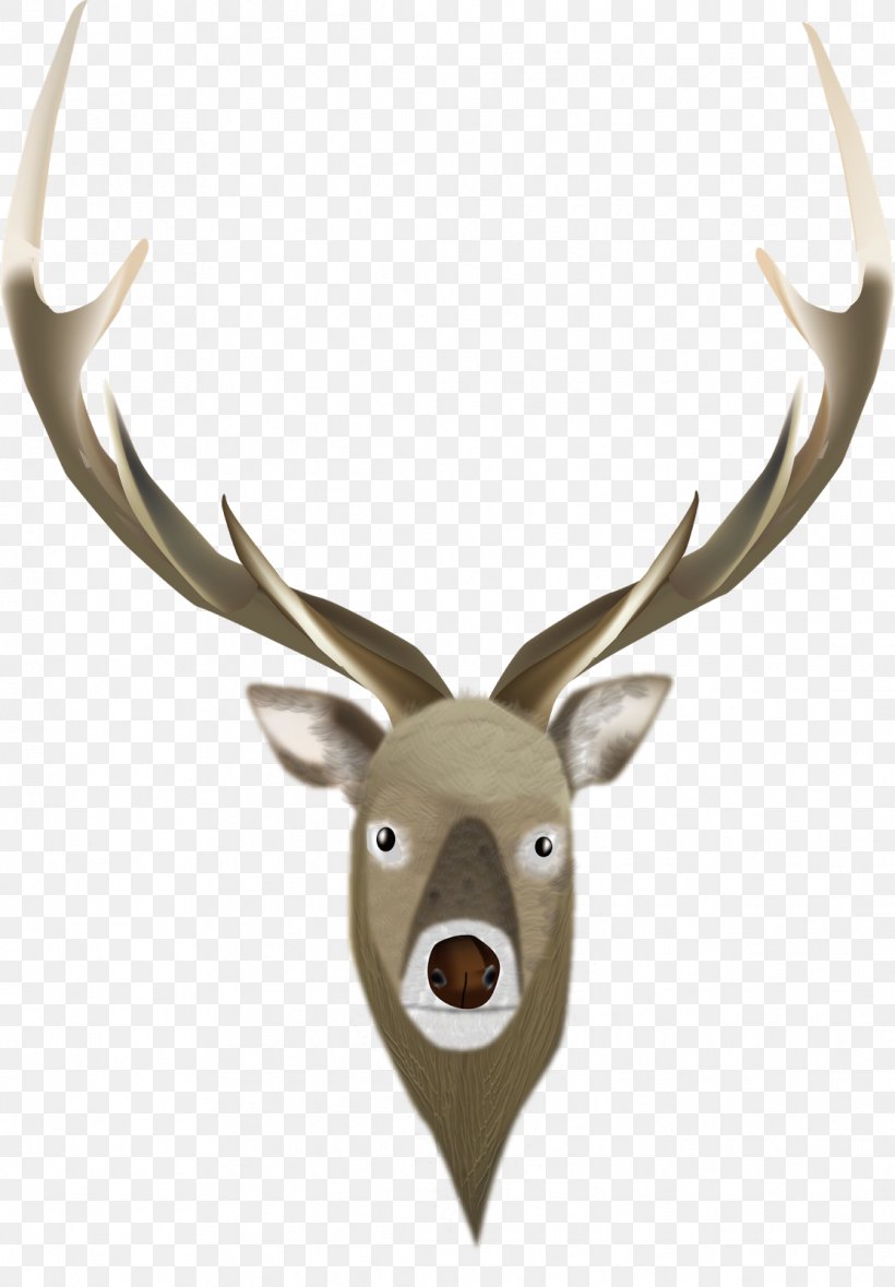 Reindeer White-tailed Deer Elk Antler, PNG, 1112x1600px, Reindeer, Antler, Deer, Elk, Horn Download Free
