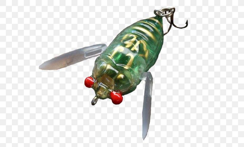 Spoon Lure Insect Fishing Baits & Lures Cicadas Spinnerbait, PNG, 600x493px, Spoon Lure, Animal, Bait, Cicadas, Cicadoidea Download Free
