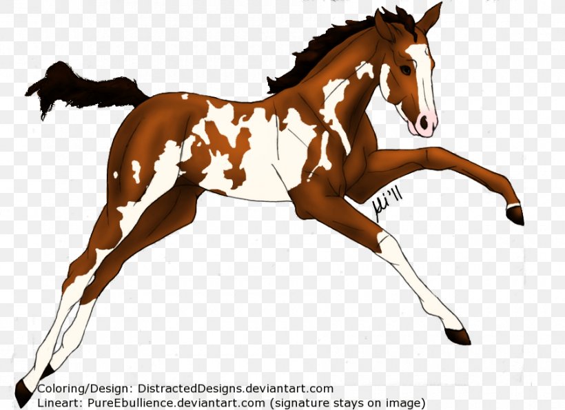 Mustang Pony Foal Mare Stallion, PNG, 900x654px, Mustang, Animal Figure, Bridle, Chestnut, Colt Download Free
