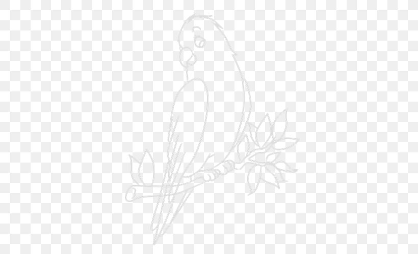 Feather Bird Drawing Sketch, PNG, 500x500px, Feather, Art, Artwork, Beak, Bird Download Free