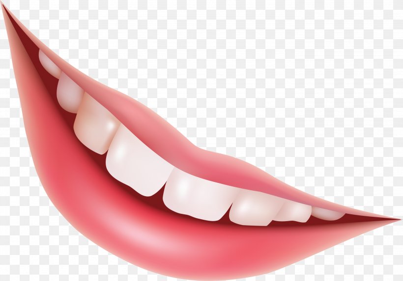Mouth Lip Euclidean Vector Smile, PNG, 2763x1934px, Mouth, Cdr, Face, Jaw, Lip Download Free