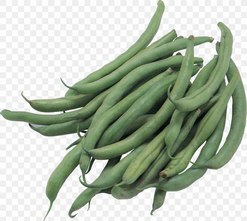 Vegetable Green Bean Common Bean Pea, PNG, 1533x1373px, Vegetable, Bean, Broad Bean, Commodity, Common Bean Download Free