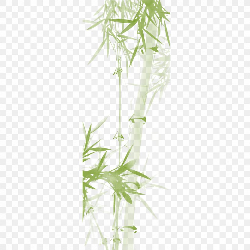 Bamboo Ink Wash Painting, PNG, 1200x1200px, Bamboo, Flowerpot, Grass, Grass Family, Green Download Free