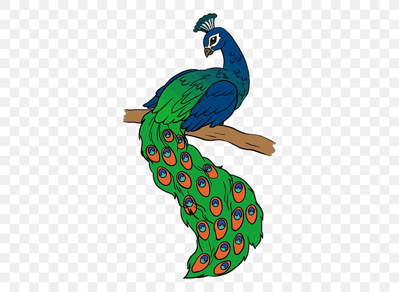 Drawing Peafowl Sketch, PNG, 678x600px, Drawing, Art, Color, Colored Pencil, Coloring Book Download Free