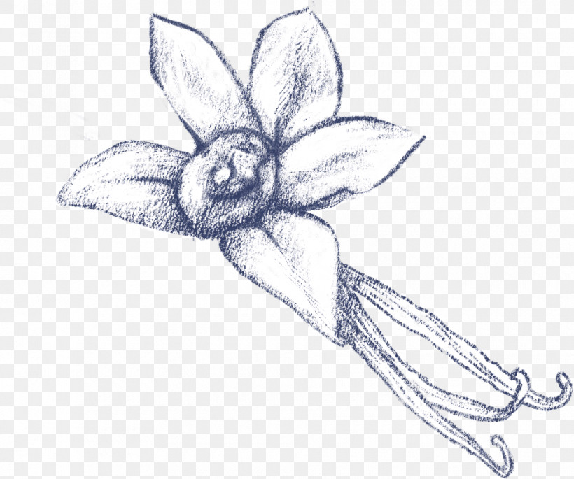 Drawing Plant Sketch Flower Narcissus, PNG, 940x786px, Drawing, Flower, Narcissus, Plant Download Free