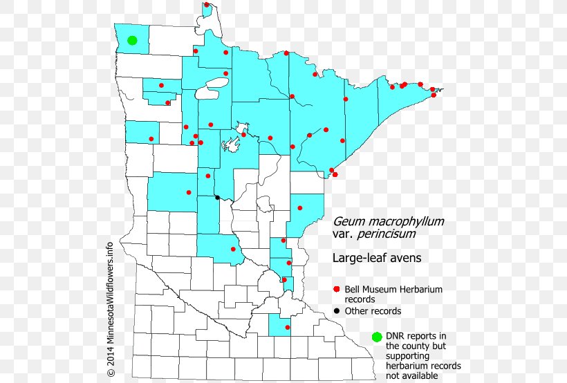 Minnesota Line Point Land Lot Map, PNG, 530x554px, Minnesota, Area, Diagram, Land Lot, Map Download Free