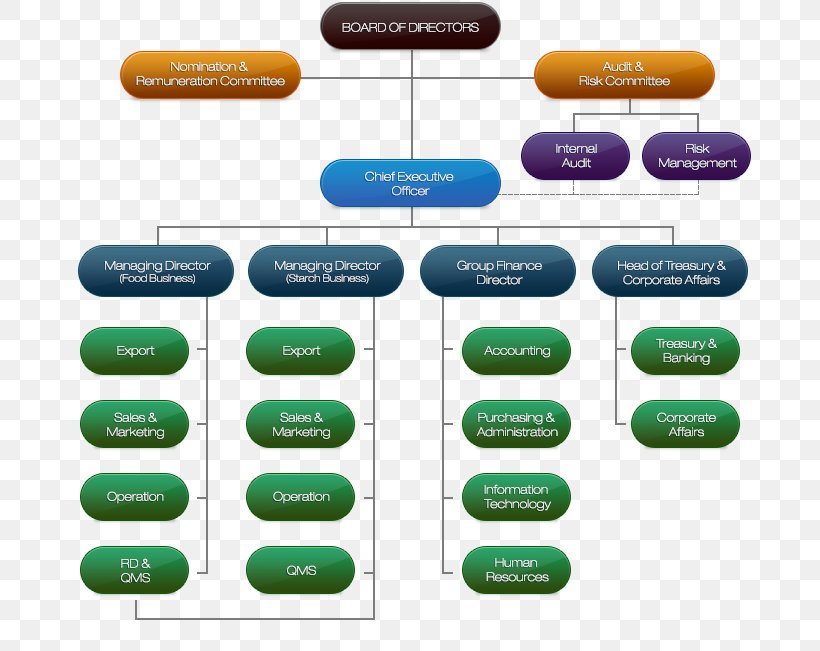 Organizational Structure Public Company Organizational Chart Limited Company, PNG, 699x651px, Organization, Board Of Directors, Brand, Business, Corporate Structure Download Free