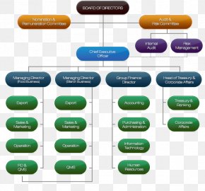 Organizational Structure Organizational Chart Business Company, PNG ...