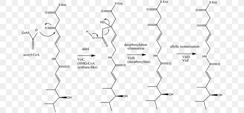 White Point Angle, PNG, 678x380px, White, Area, Black And White, Diagram, Map Download Free