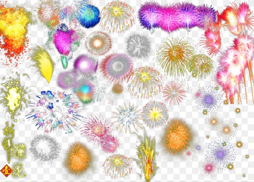 Adobe Fireworks, PNG, 1000x715px, Fireworks, Adobe Fireworks, Designer, Flora, Floral Design Download Free